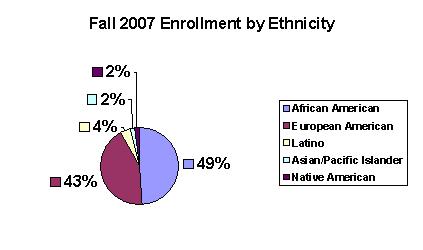 Enrollment by Ethnicity.jpg