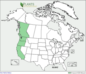 Distribution of the narrowleaf onion