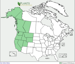 Distribution of western columbine